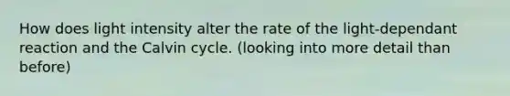 How does light intensity alter the rate of the light-dependant reaction and the Calvin cycle. (looking into more detail than before)