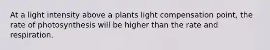 At a light intensity above a plants light compensation point, the rate of photosynthesis will be higher than the rate and respiration.