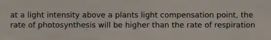 at a light intensity above a plants light compensation point, the rate of photosynthesis will be higher than the rate of respiration