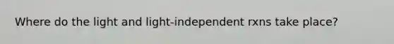 Where do the light and light-independent rxns take place?