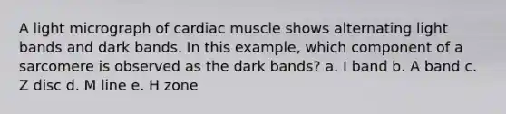 A light micrograph of cardiac muscle shows alternating light bands and dark bands. In this example, which component of a sarcomere is observed as the dark bands? a. I band b. A band c. Z disc d. M line e. H zone