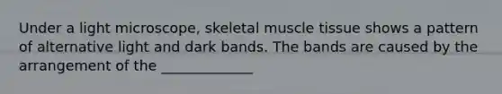 Under a light microscope, skeletal muscle tissue shows a pattern of alternative light and dark bands. The bands are caused by the arrangement of the _____________