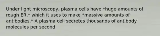 Under light microscopy, plasma cells have *huge amounts of rough ER,* which it uses to make *massive amounts of antibodies.* A plasma cell secretes thousands of antibody molecules per second.