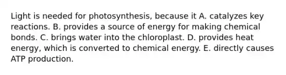 Light is needed for photosynthesis, because it A. catalyzes key reactions. B. provides a source of energy for making chemical bonds. C. brings water into the chloroplast. D. provides heat energy, which is converted to chemical energy. E. directly causes ATP production.