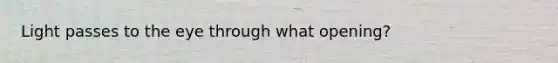 Light passes to the eye through what opening?