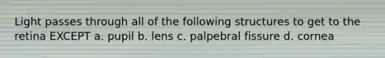 Light passes through all of the following structures to get to the retina EXCEPT a. pupil b. lens c. palpebral fissure d. cornea