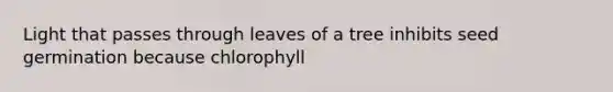 Light that passes through leaves of a tree inhibits seed germination because chlorophyll