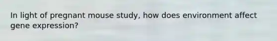 In light of pregnant mouse study, how does environment affect gene expression?