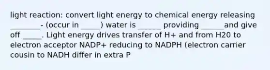 light reaction: convert light energy to chemical energy releasing ________- (occur in _____) water is ______ providing ______and give off _____. Light energy drives transfer of H+ and from H20 to electron acceptor NADP+ reducing to NADPH (electron carrier cousin to NADH differ in extra P