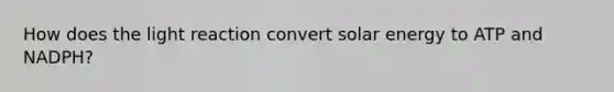 How does the light reaction convert solar energy to ATP and NADPH?