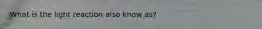 What is the light reaction also know as?