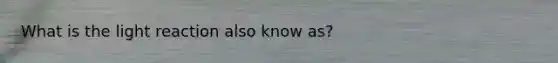 What is the light reaction also know as?