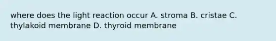 where does the light reaction occur A. stroma B. cristae C. thylakoid membrane D. thyroid membrane