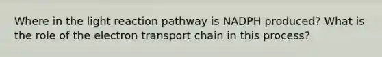 Where in the light reaction pathway is NADPH produced? What is the role of the electron transport chain in this process?