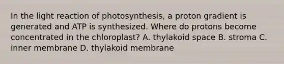 In the light reaction of photosynthesis, a proton gradient is generated and ATP is synthesized. Where do protons become concentrated in the chloroplast? A. thylakoid space B. stroma C. inner membrane D. thylakoid membrane