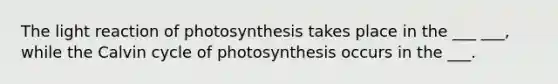 The light reaction of photosynthesis takes place in the ___ ___, while the Calvin cycle of photosynthesis occurs in the ___.