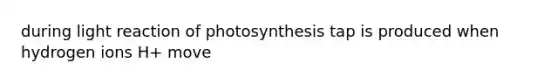 during light reaction of photosynthesis tap is produced when hydrogen ions H+ move