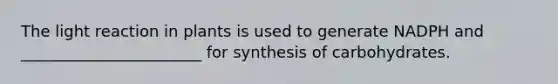 The light reaction in plants is used to generate NADPH and _______________________ for synthesis of carbohydrates.