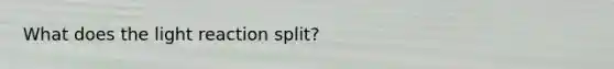 What does the light reaction split?