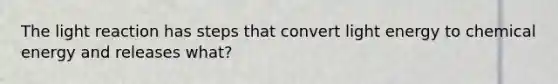 The light reaction has steps that convert light energy to chemical energy and releases what?