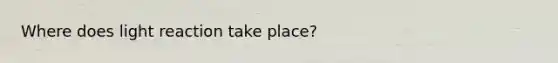 Where does light reaction take place?