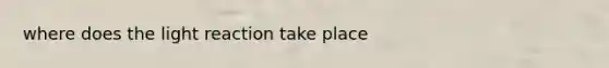 where does the light reaction take place