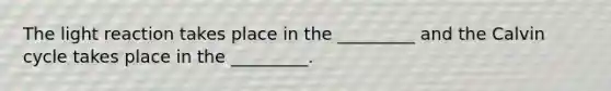 The light reaction takes place in the _________ and the Calvin cycle takes place in the _________.