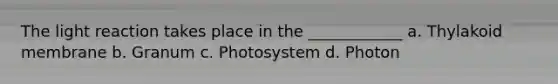 The light reaction takes place in the ____________ a. Thylakoid membrane b. Granum c. Photosystem d. Photon