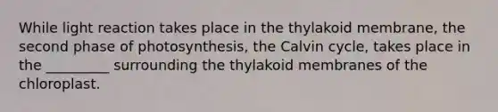 While light reaction takes place in the thylakoid membrane, the second phase of photosynthesis, the Calvin cycle, takes place in the _________ surrounding the thylakoid membranes of the chloroplast.