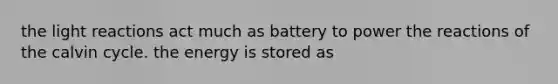 the light reactions act much as battery to power the reactions of the calvin cycle. the energy is stored as