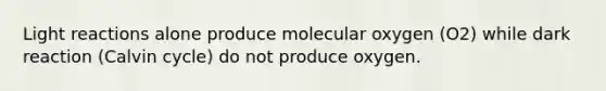 Light reactions alone produce molecular oxygen (O2) while dark reaction (Calvin cycle) do not produce oxygen.