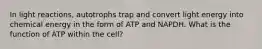 In light reactions, autotrophs trap and convert light energy into chemical energy in the form of ATP and NAPDH. What is the function of ATP within the cell?