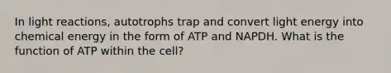 In light reactions, autotrophs trap and convert light energy into chemical energy in the form of ATP and NAPDH. What is the function of ATP within the cell?