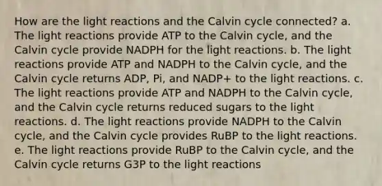 How are the light reactions and the Calvin cycle connected? a. The light reactions provide ATP to the Calvin cycle, and the Calvin cycle provide NADPH for the light reactions. b. The light reactions provide ATP and NADPH to the Calvin cycle, and the Calvin cycle returns ADP, Pi, and NADP+ to the light reactions. c. The light reactions provide ATP and NADPH to the Calvin cycle, and the Calvin cycle returns reduced sugars to the light reactions. d. The light reactions provide NADPH to the Calvin cycle, and the Calvin cycle provides RuBP to the light reactions. e. The light reactions provide RuBP to the Calvin cycle, and the Calvin cycle returns G3P to the light reactions