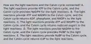 How are the light reactions and the Calvin cycle connected? A. The light reactions provide ATP to the Calvin cycle, and the Calvin cycle provides NADPH for the light reactions. B. The light reactions provide ATP and NADPH to the Calvin cycle, and the Calvin cycle returns ADP, phosphate, and NADP+ to the light reactions. C. The light reactions provide ATP and NADPH to the Calvin cycle, and the Calvin cycle returns reduced sugars to the light reactions. D. The light reactions provide NADPH to the Calvin cycle, and the Calvin cycle provides RUBP to the light reactions. E. The light reactions provide RuBP to the Calvin cycle, and the Calvin cycle returns G3P to the light reactions.