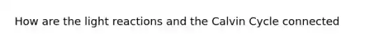 How are the light reactions and the Calvin Cycle connected