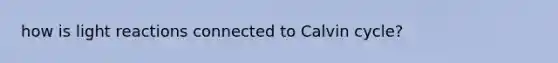 how is light reactions connected to Calvin cycle?