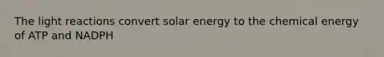 The light reactions convert solar energy to the chemical energy of ATP and NADPH