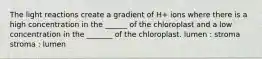 The light reactions create a gradient of H+ ions where there is a high concentration in the ______ of the chloroplast and a low concentration in the _______ of the chloroplast. lumen : stroma stroma : lumen