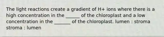 The light reactions create a gradient of H+ ions where there is a high concentration in the ______ of the chloroplast and a low concentration in the _______ of the chloroplast. lumen : stroma stroma : lumen