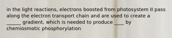 in the light reactions, electrons boosted from photosystem II pass along the electron transport chain and are used to create a ______ gradient, which is needed to produce ____ by chemiosmotic phosphorylation