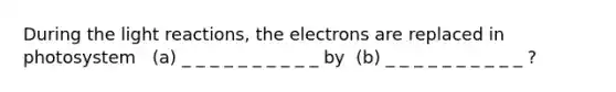 During the light reactions, the electrons are replaced in photosystem ​ ​​ (a) _ _ _ _ _ _ _ _ _ _ by ​ (b) _ _ _ _ _ _ _ _ _ _ ?