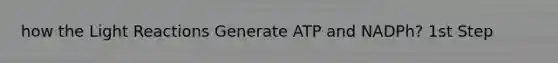 how the Light Reactions Generate ATP and NADPh? 1st Step