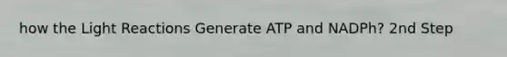 how the Light Reactions Generate ATP and NADPh? 2nd Step