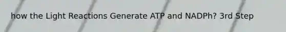 how the Light Reactions Generate ATP and NADPh? 3rd Step