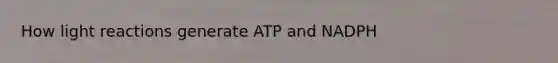 How light reactions generate ATP and NADPH