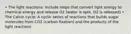 • The light reactions: Include steps that convert light energy to chemical energy and release O2 (water is split, O2 is released) • The Calvin cycle: A cyclic series of reactions that builds sugar molecules from CO2 (carbon fixation) and the products of the light reactions