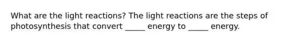 What are the light reactions? The light reactions are the steps of photosynthesis that convert _____ energy to _____ energy.