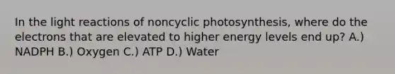 In the light reactions of noncyclic photosynthesis, where do the electrons that are elevated to higher energy levels end up? A.) NADPH B.) Oxygen C.) ATP D.) Water