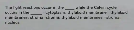 The light reactions occur in the _____ while the Calvin cycle occurs in the ______ - cytoplasm; thylakoid membrane - thylakoid membranes; stroma -stroma; thylakoid membranes - stroma; nucleus